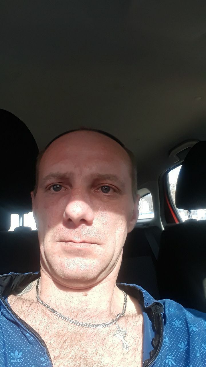 ���� 22603731 ������� ������, 44 ����, ���� ���������� � �������