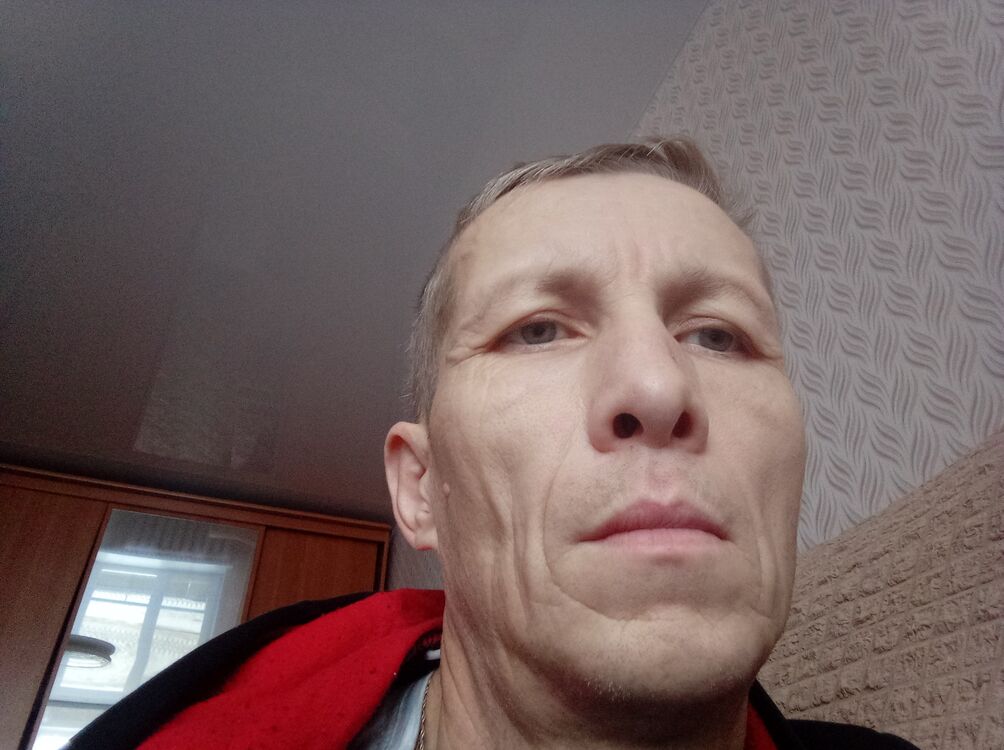  44785441  , 44 ,    