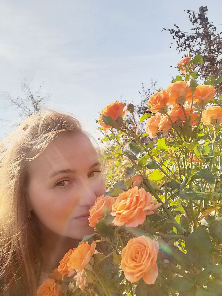 ���� 23948241 ������� �������, 33 ����, ���� ���������� � �����