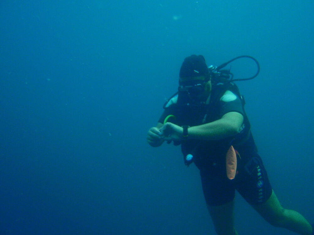 ���� 5119021 ������� Serg, 51 ���, ���� ���������� � �������