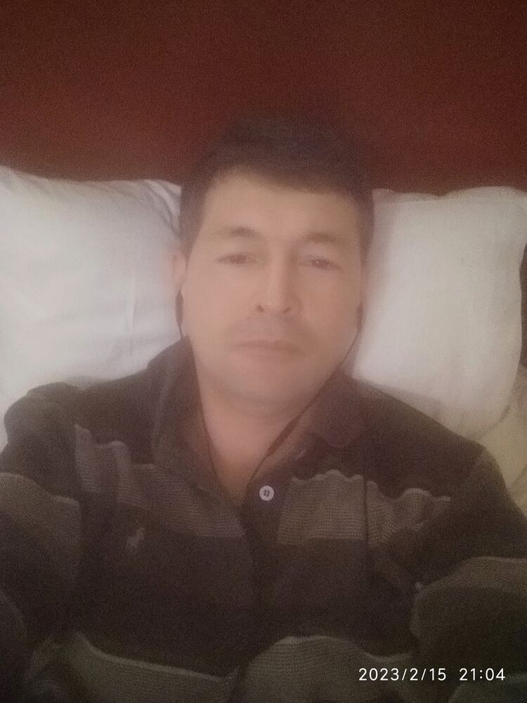  33028961  , 43 ,    