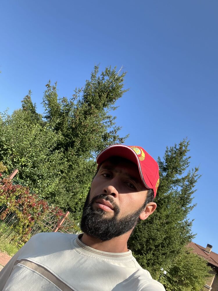  45983711  , 31 ,    