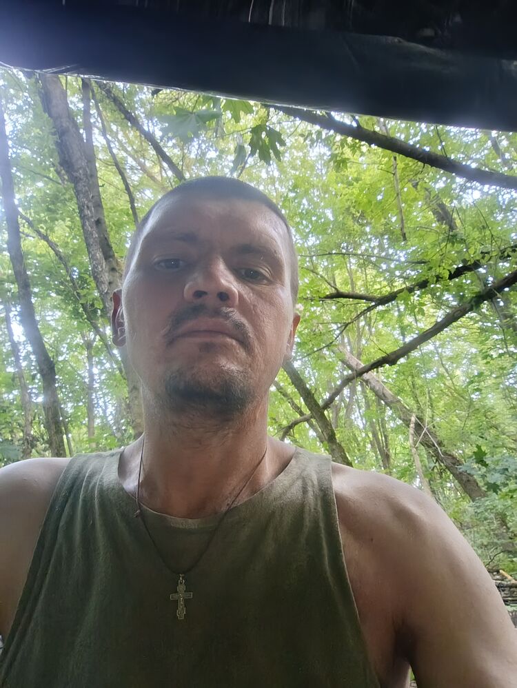 ���� 55295911 ������� �����, 36 ���, ���� ���������� � ����������