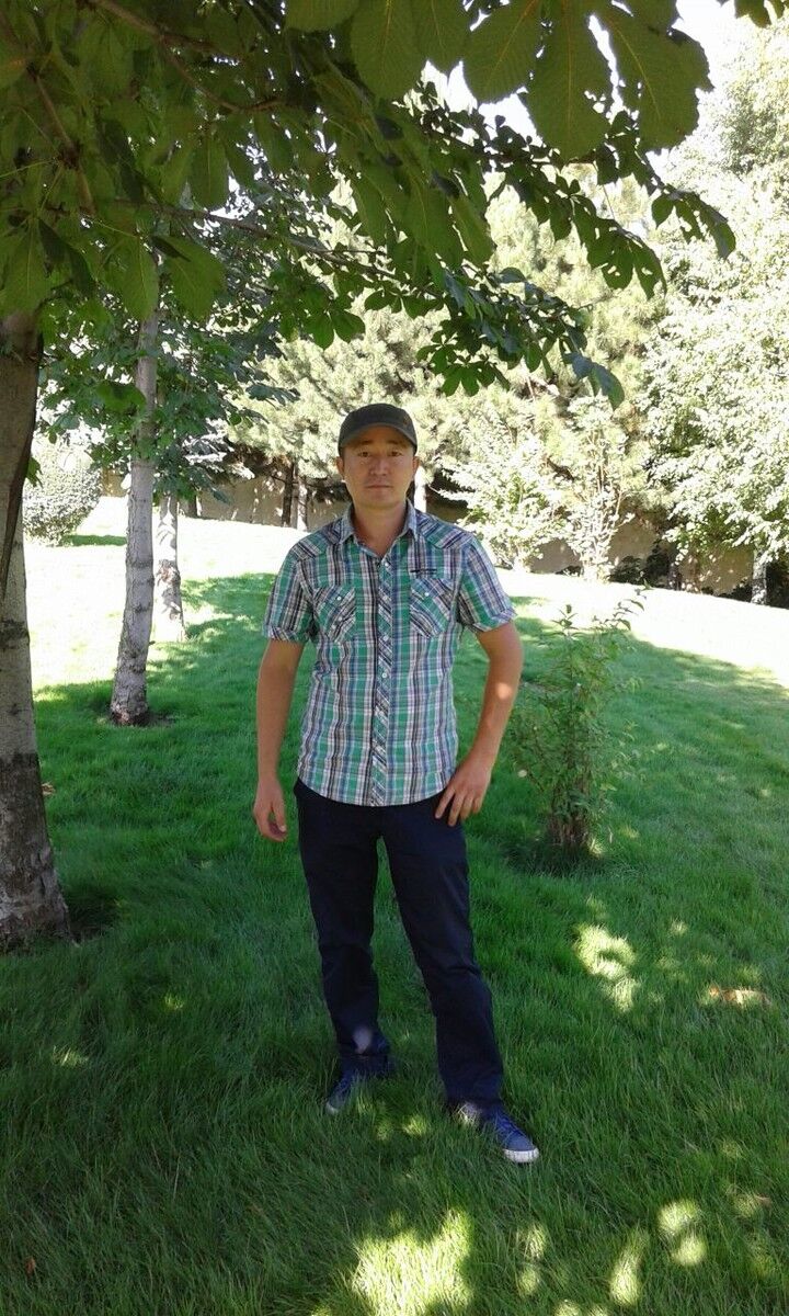  5354971  Damir, 39 ,    