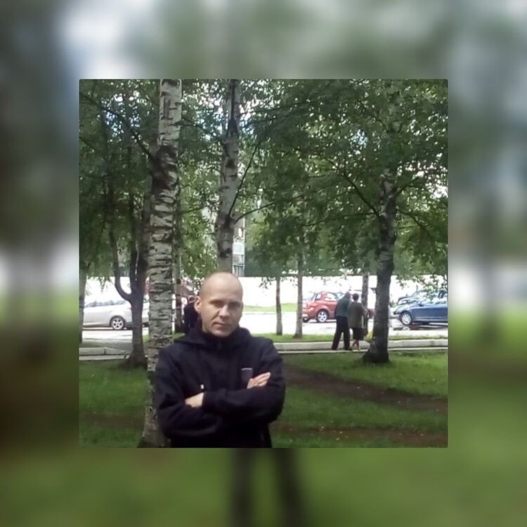 ���� 8021331 ������� ����, 46 ���, ���� ���������� � ������� ���������