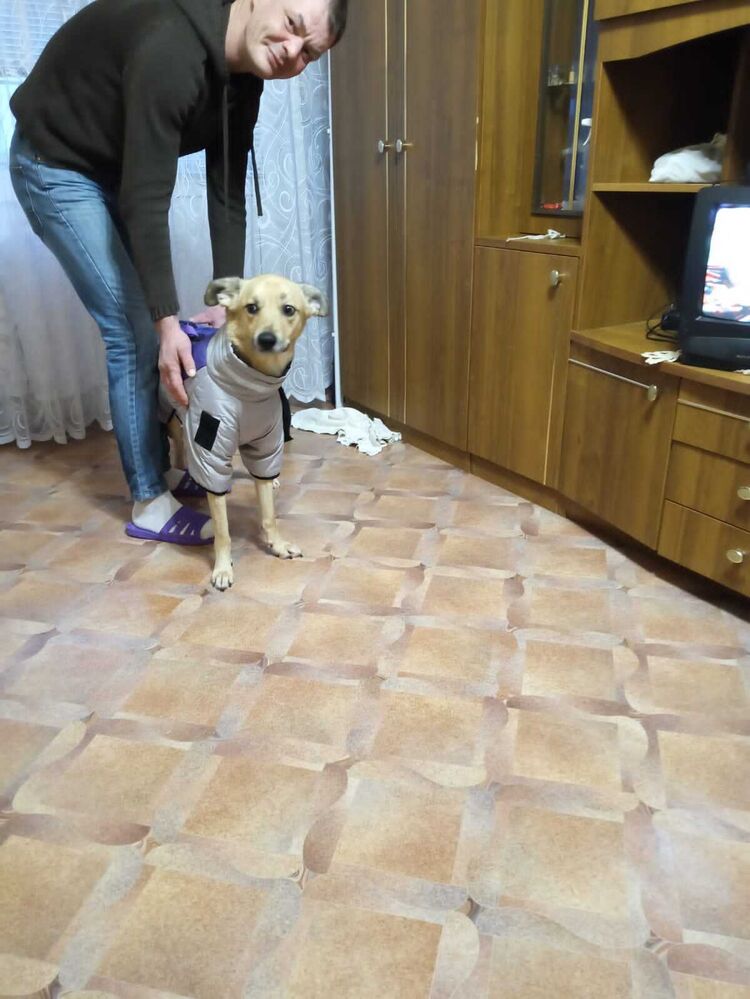 ���� 55447181 ������� �����, 41 ���, ���� ���������� � ��������