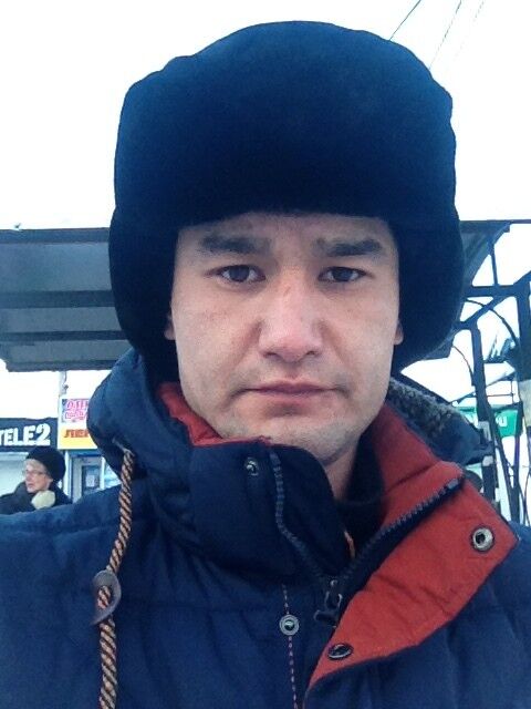  8631981  , 33 ,    -