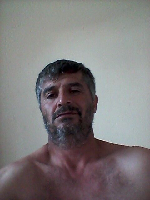 ���� 16881391 ������� �����, 48 ���, ���� ���������� � ����-���