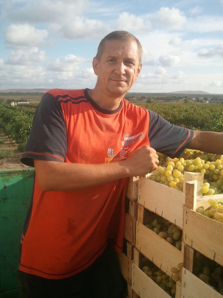 ���� 8919711 ������� ���, 55 ���, ���� ���������� � ������