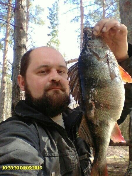  ,   Dmitrii, 48 ,   ,   , c 