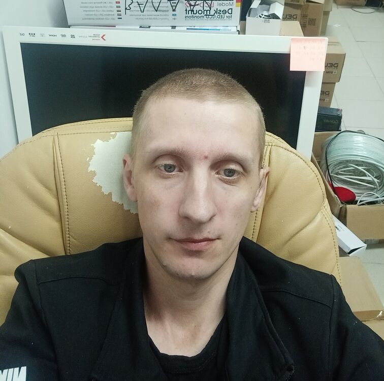  53166361  , 38 ,    