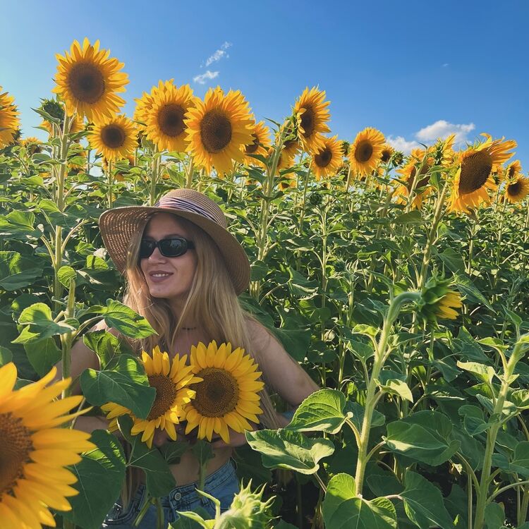 ���� 53468481 ������� ��������, 32 ����, ���� ���������� � �����������