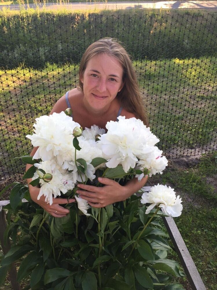 ���� 21595351 ������� ����, 33 ����, ���� ���������� � �����-����������