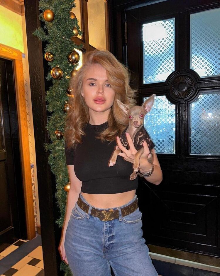  -,   , 22 ,   ,   