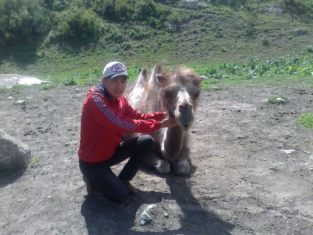  6386401  ERMek, 30 ,    