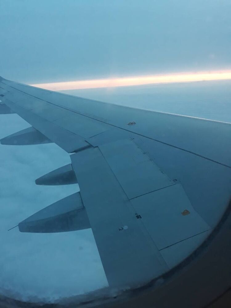 ���� 11810761 ������� �������, 38 ���, ���� ���������� � �����