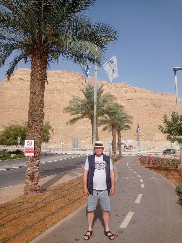 ���� 28003781 ������� ���������, 49 ���, ���� ���������� � ��������