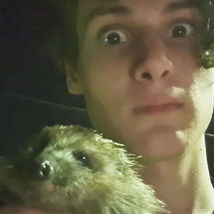  ,   , 20 ,   ,   , 