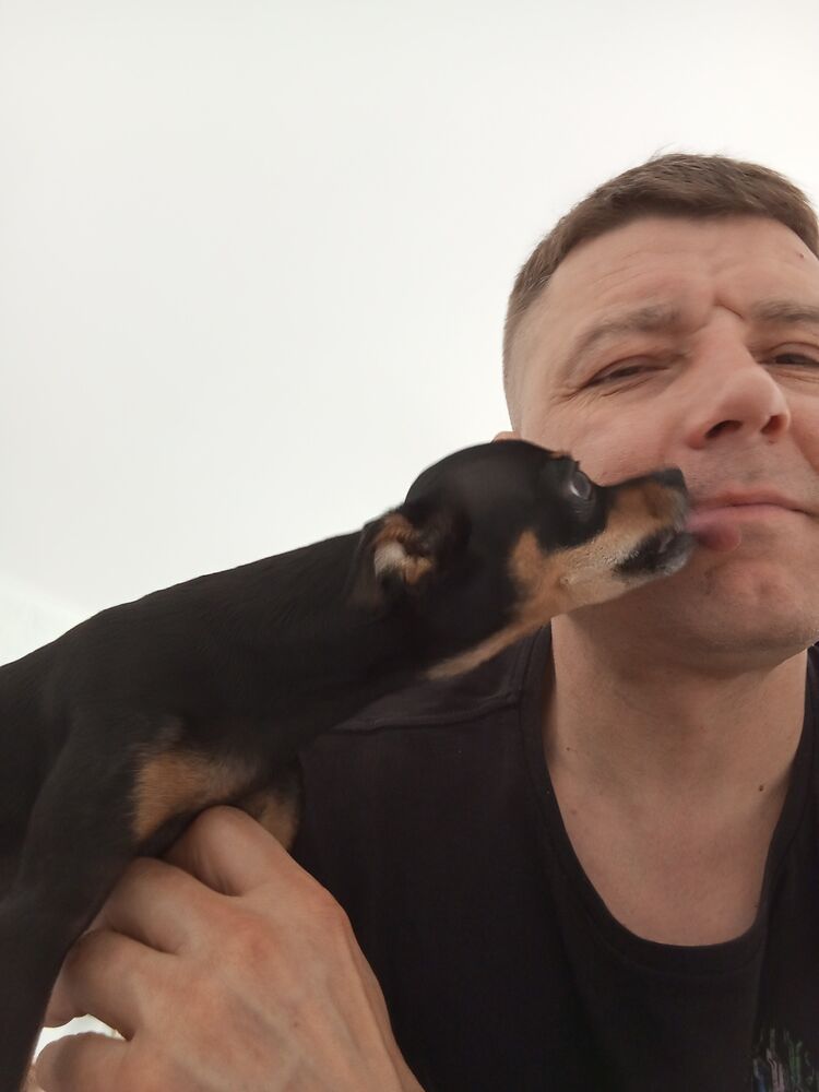 ���������� ��������, ���� ������� ���������, 44 ����, ������������ ��� ������, ����� � ���������