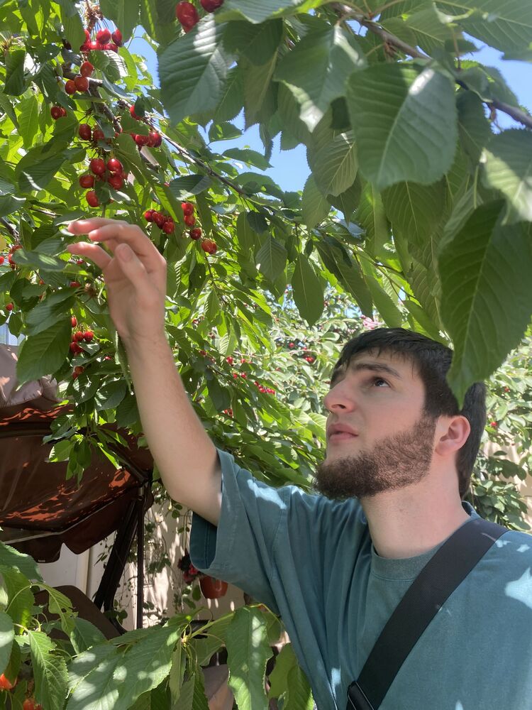 ���� 35066271 ����� ���, 24 ����, ���� ���������� � ���������