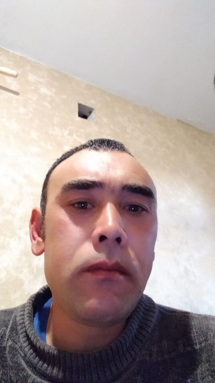  49814171  , 41 ,    -