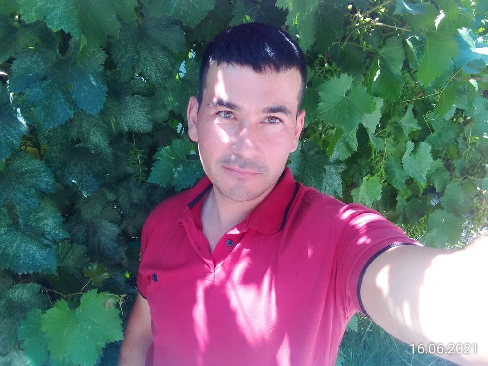 ���� 23339661 ������� ������, 36 ���, ���� ���������� � ���������