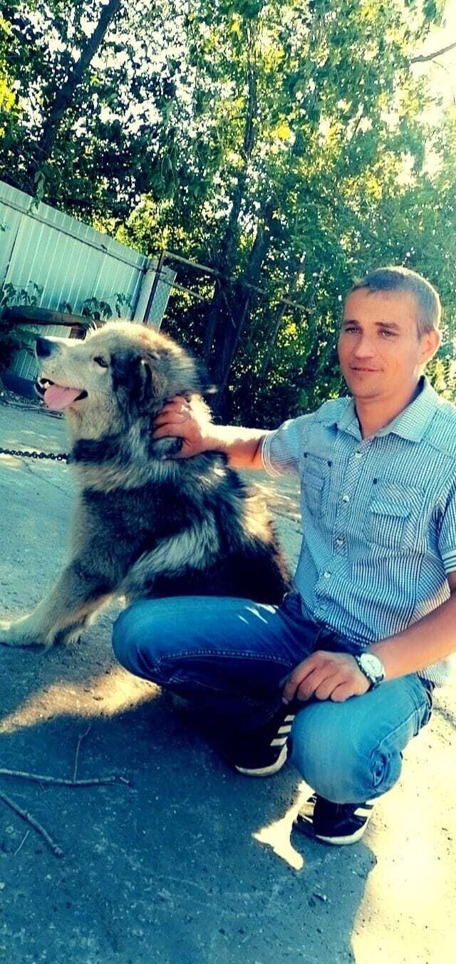 ���� 27986861 ������� ������, 35 ���, ���� ���������� � ��������