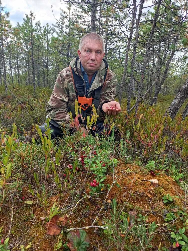 ���� 55898751 ������� ����������, 48 ���, ���� ���������� � ������