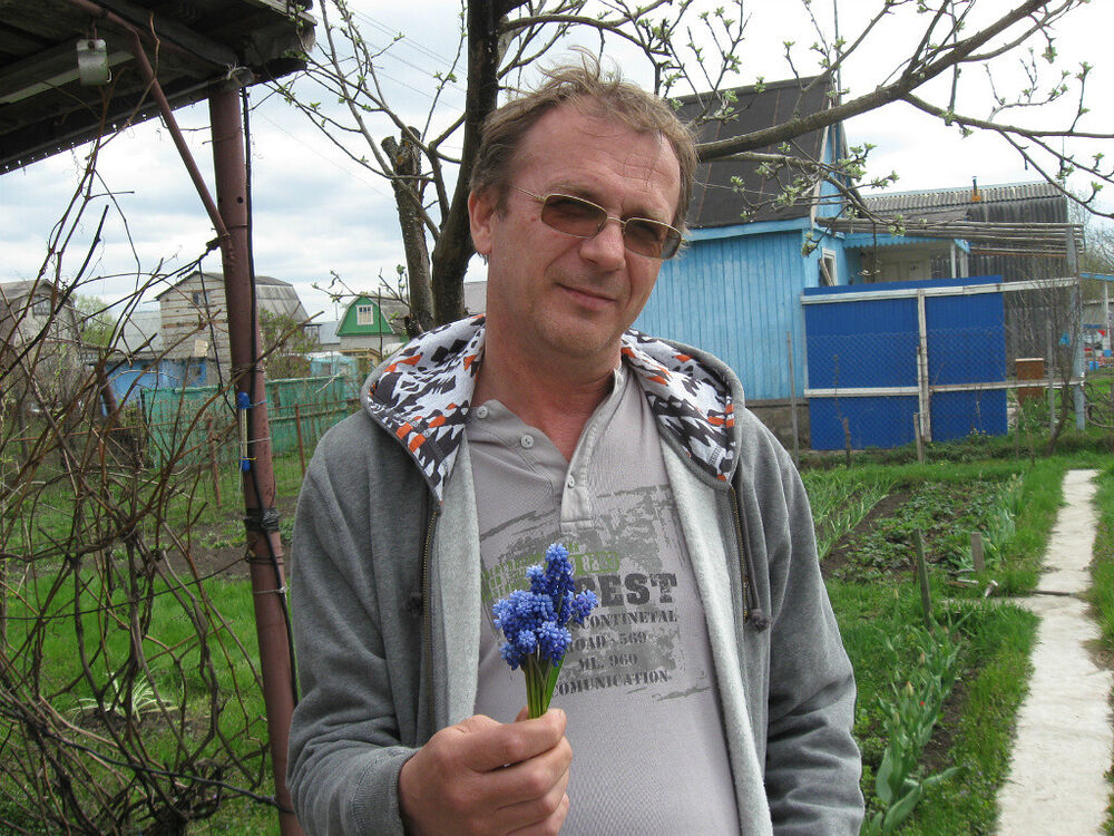 ���� 38313781 ������� ������, 62 ����, ���� ���������� � ������