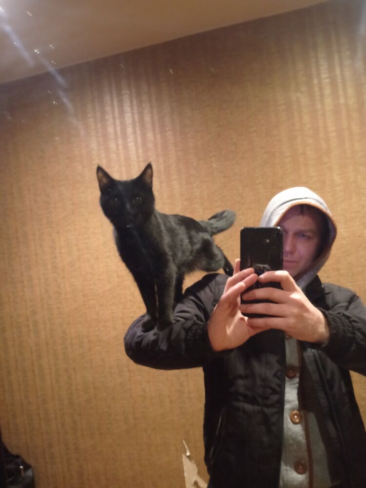 ���������� ������ ��������, ���� ������� ������, 38 ���, ������������ ��� ������, ����� � ���������