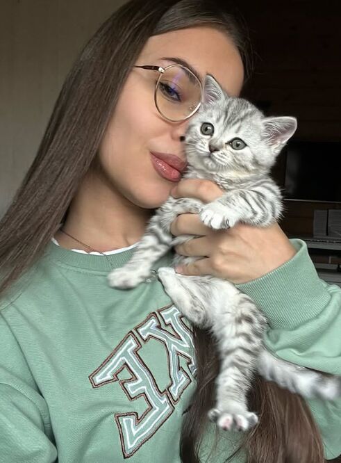 ���� 55620101 ������� �����, 28 ���, ���� ���������� � �������