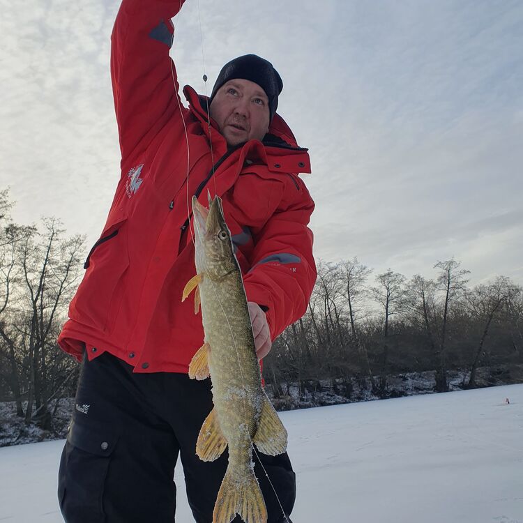 ���������� �����-���������, ���� ������� �������, 42 ����, ������������ ��� ������, ����� � ���������