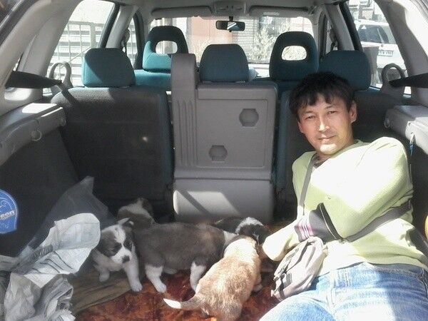 ���� 15057111 ������� �����, 53 ����, ���� ���������� � ���������