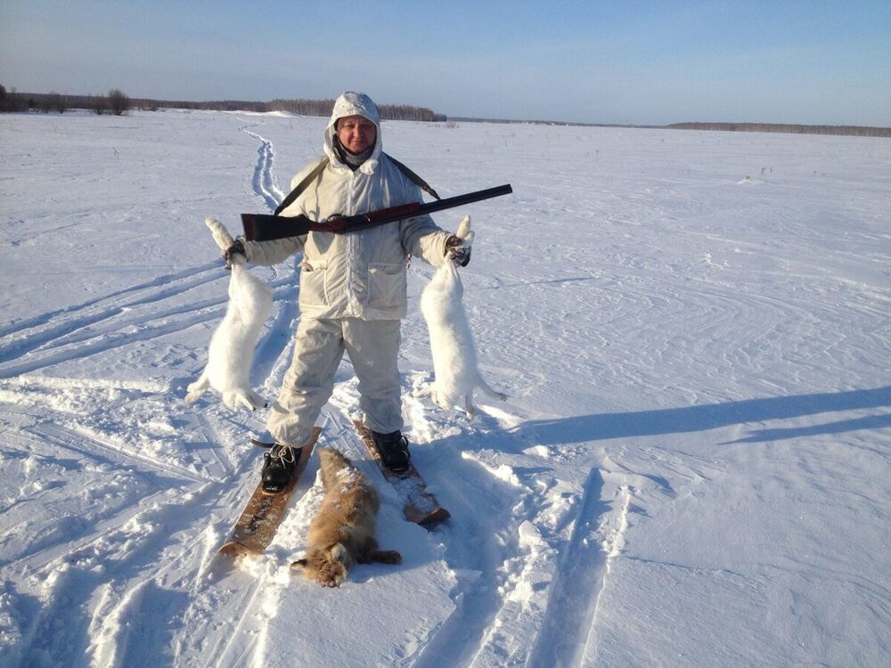 ���������� ����, ���� ������� �������, 50 ���, ������������ ��� ������, ����� � ���������, c�������� ���������, ���������