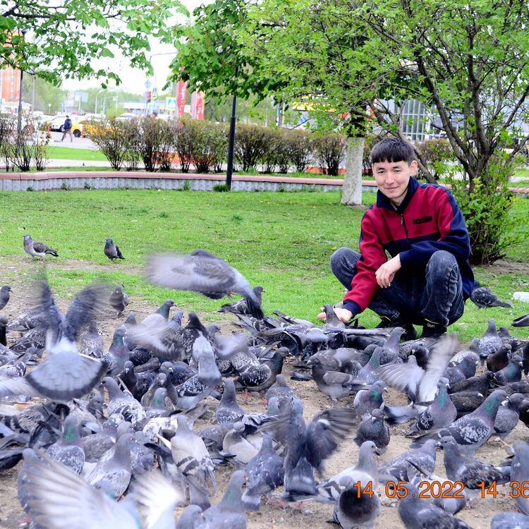 ���� 44740601 ����� Ali, 25 ���, ���� ���������� � ������