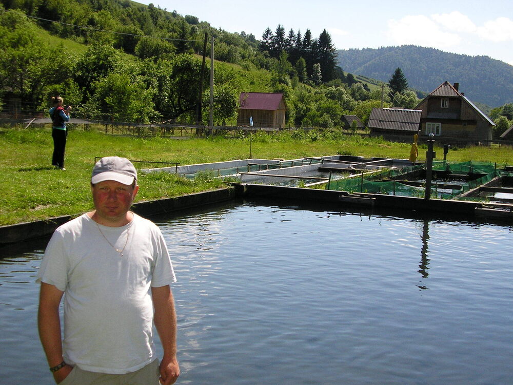 ���� 28713681 ������� ����, 48 ���, ���� ���������� � �����