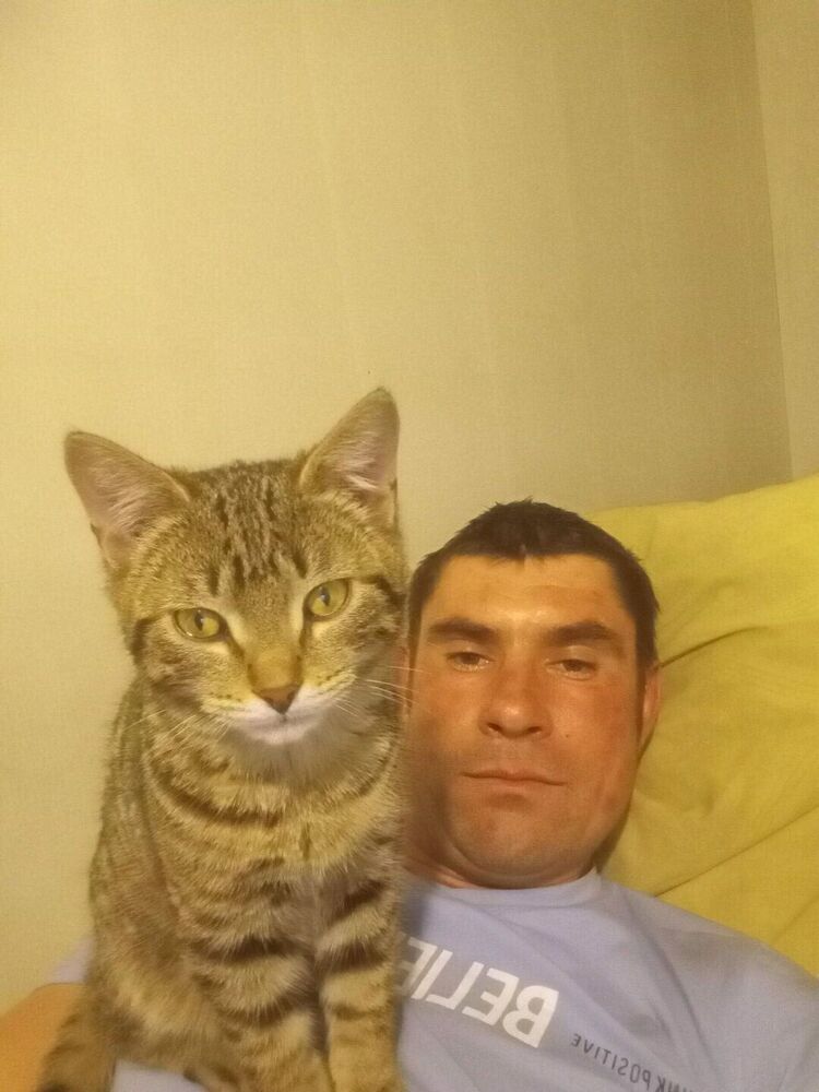  52591281  , 36 ,    -