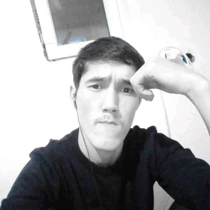  41118871  , 24 ,    
