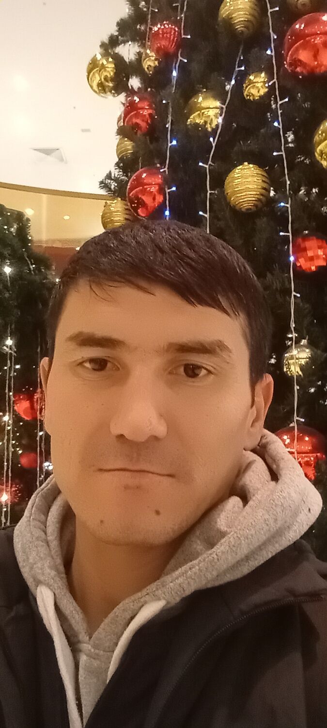  50852381  , 33 ,    