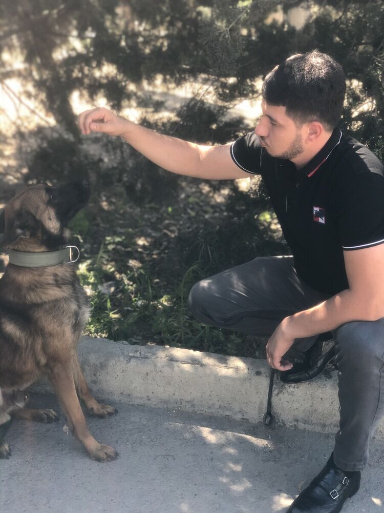 ���� 22387061 ������� Elvin, 34 ����, ���� ���������� � ����