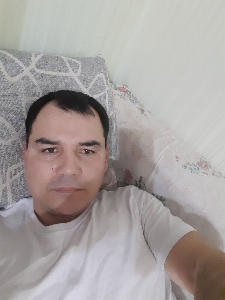  31564951  , 44 ,    