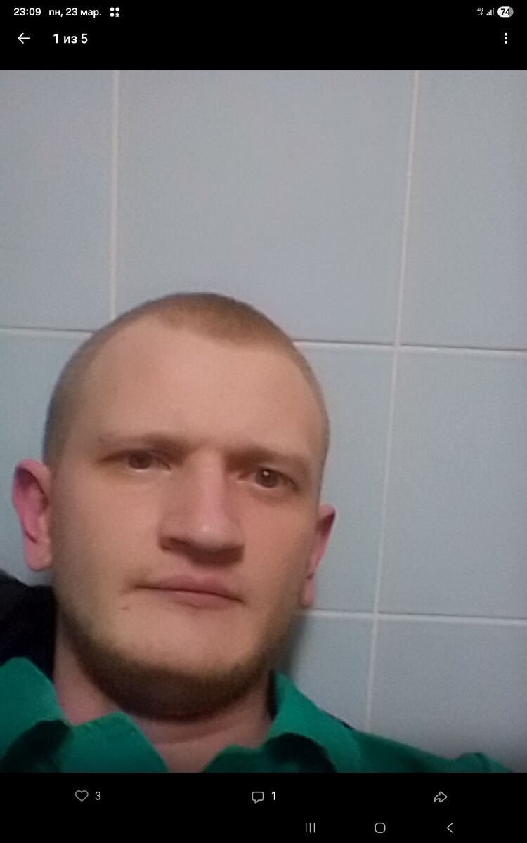 ���� 56098651 ������� �������, 33 ����, ���� ���������� � �������