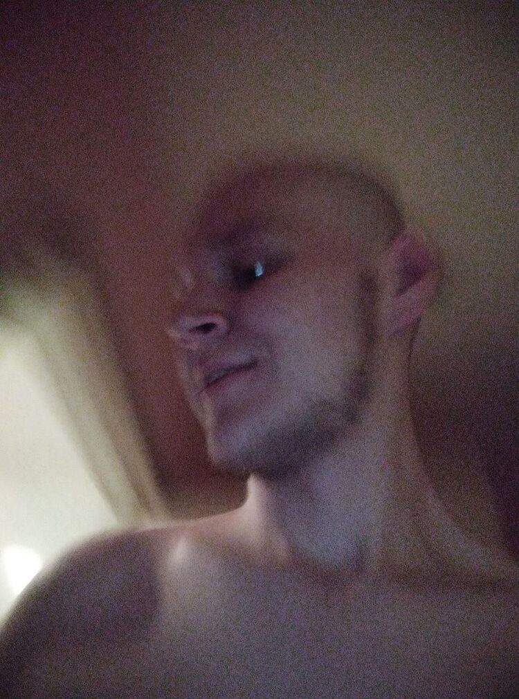  31141121  , 24 ,    