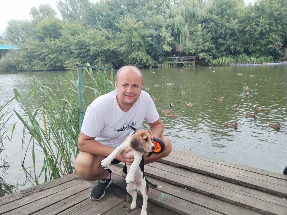 ���������� ������, ���� ������� �����, 46 ���, ������������ ��� c�������� ���������