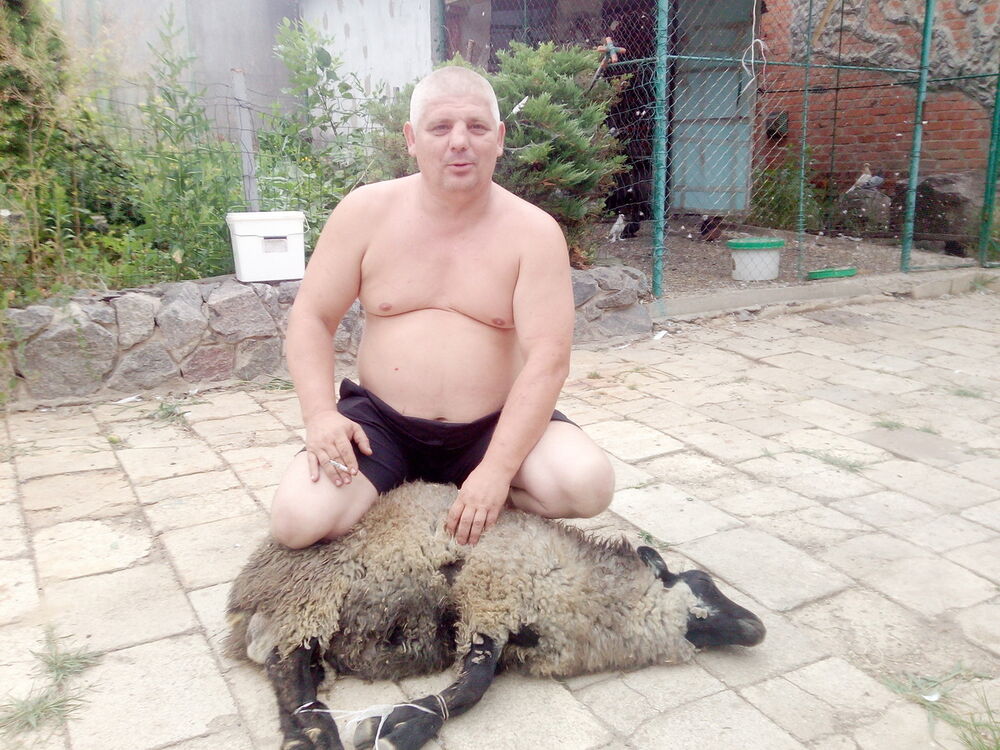 ���������� �������, ���� ������� �������, 51 ���, ������������ ��� ����� � ���������, c�������� ���������