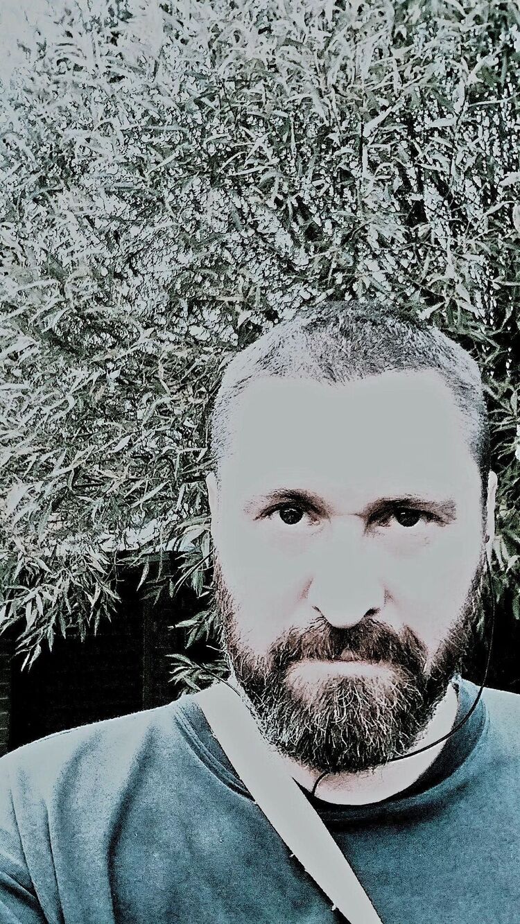  38506501  , 48 ,    -