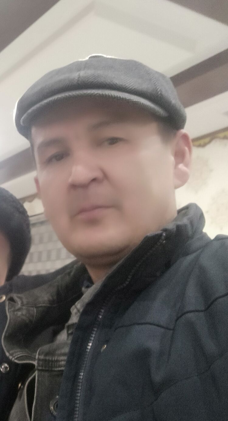  33663241  , 44 ,    