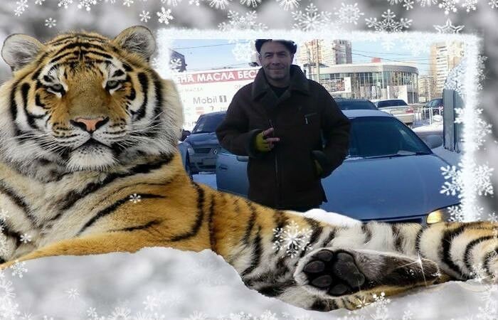 ���������� ���������, ���� ������� �����, 104 ����, ������������ ��� ������