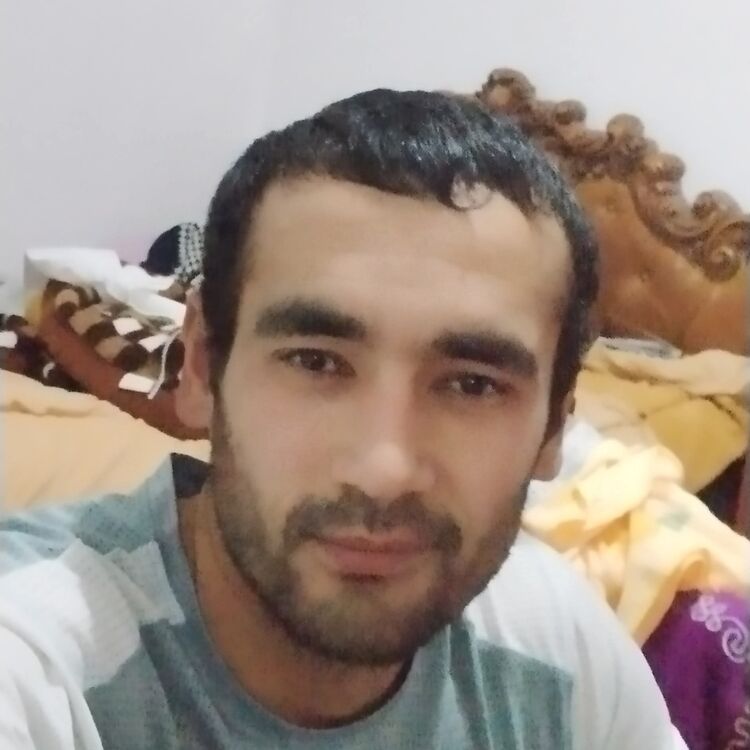 ���� 55602291 ����� ����, 24 ����, ���� ���������� � �����������