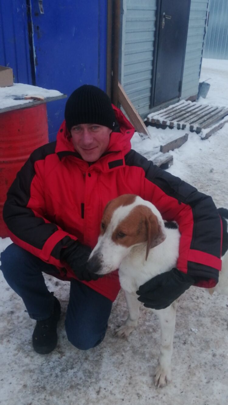 ���������� ����, ���� ������� ������, 43 ����, ������������ ��� ������, ����� � ���������, c�������� ���������